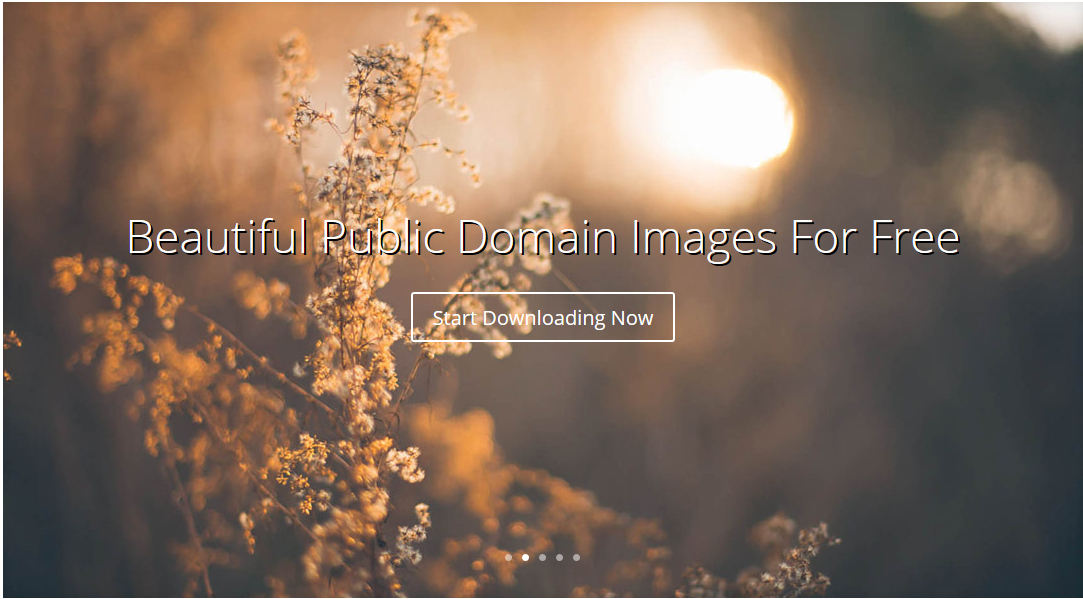 Public Domain Archive