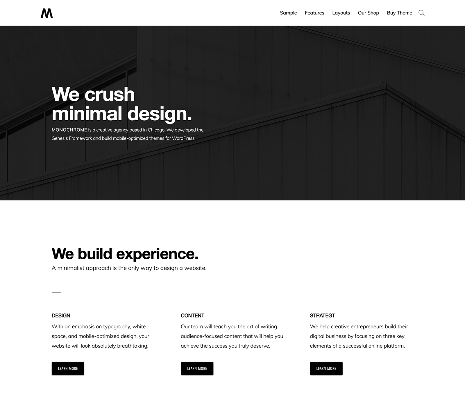 Monochrome Pro Theme