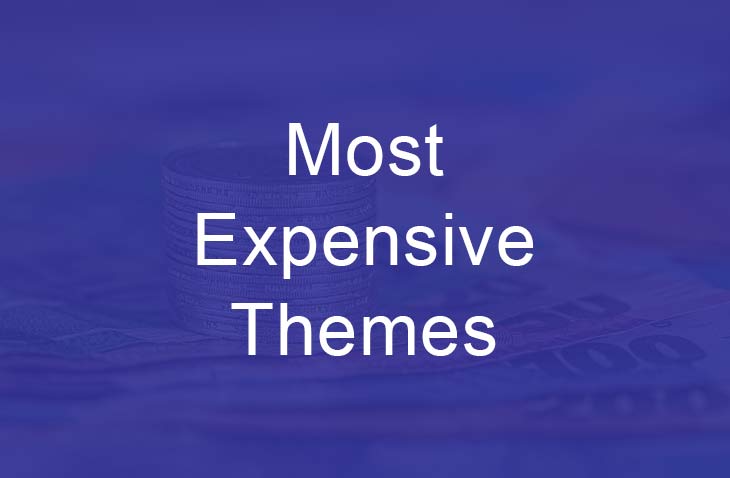 Most expensive Wordpress themes