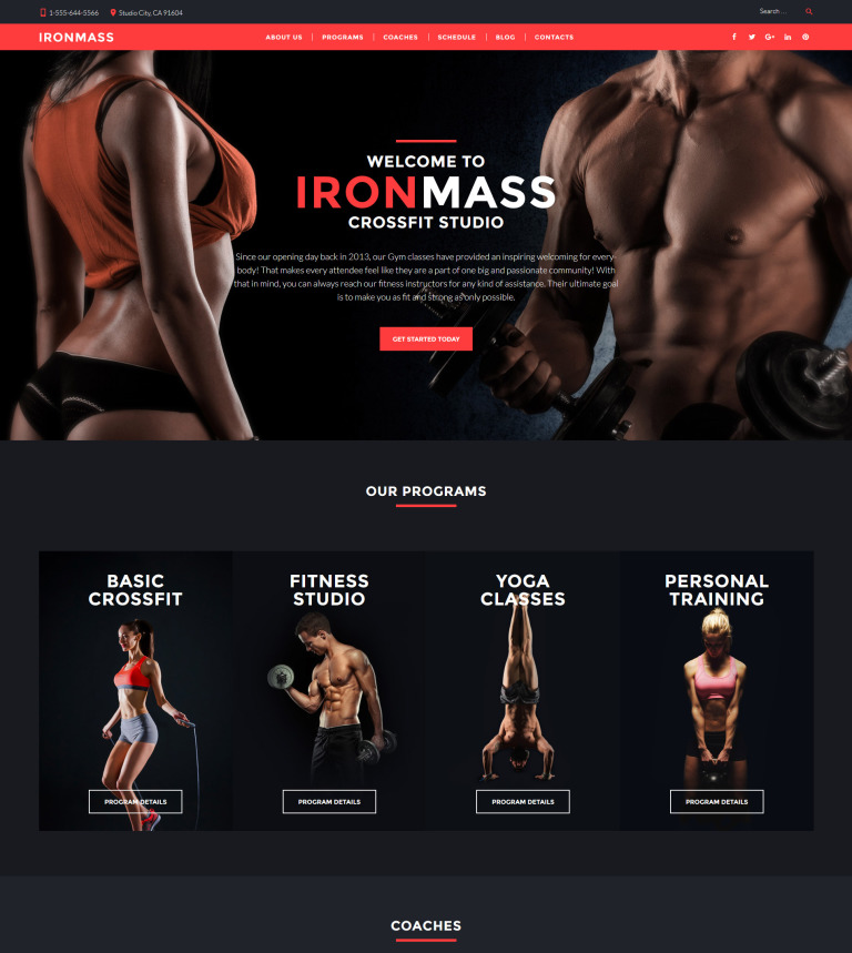 IronMass