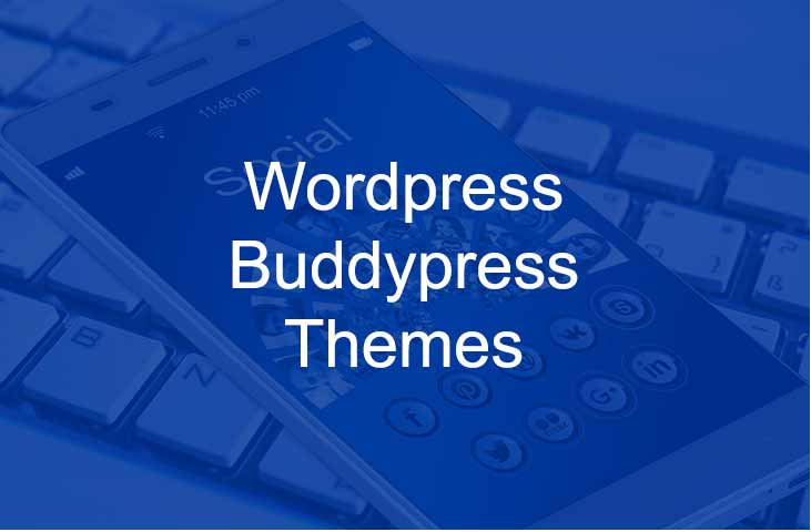 buddypress themes and Wordpress networking themes