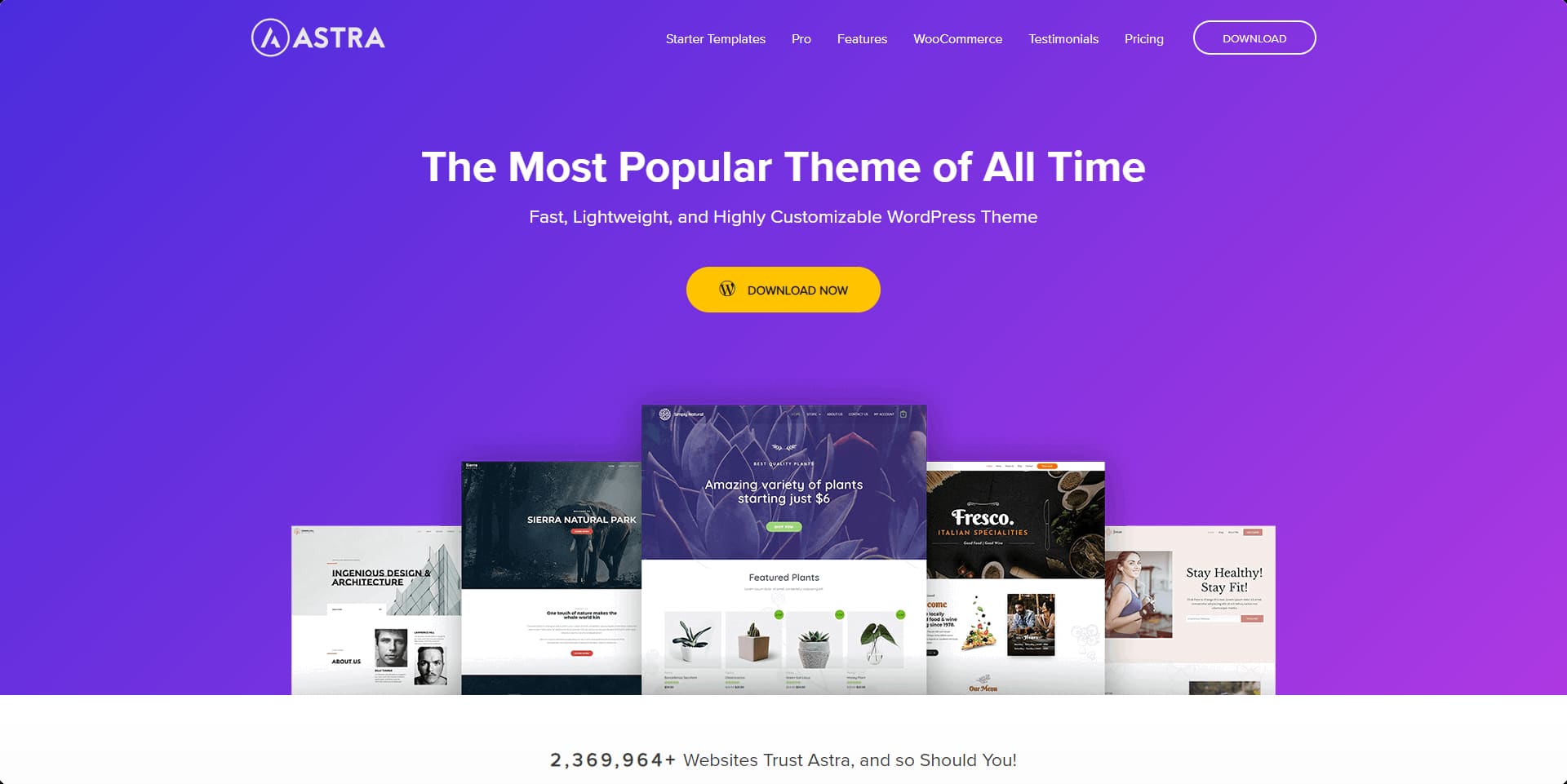 Astra WordPress Theme
