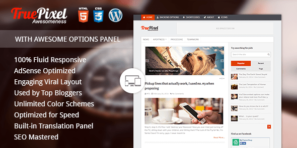 TruePixel-Premium Blogging Theme
