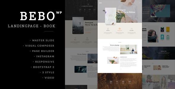 Bebo-Bookstore WP Theme