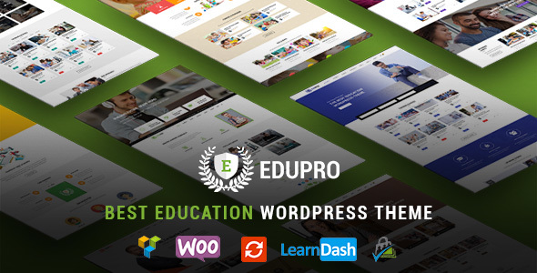 EduPro-Professional Education Theme - (No long exists)