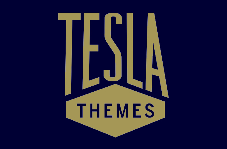 Best Teslathemes Wordpress Themes